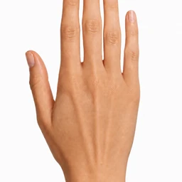 Hand · Demo photos